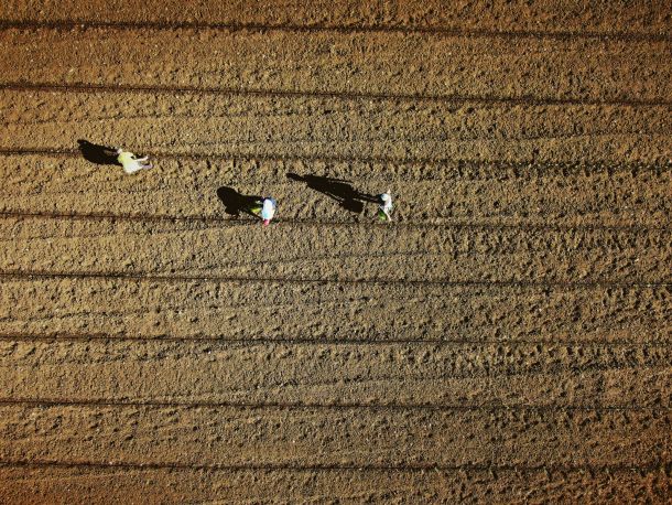parco archeologico di muro tenente orto agricoltura